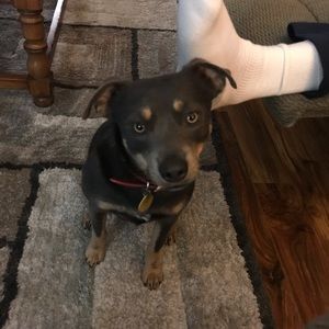 Meet your Posher, Marla